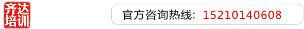 大屌爆操齐达艺考文化课-艺术生文化课,艺术类文化课,艺考生文化课logo